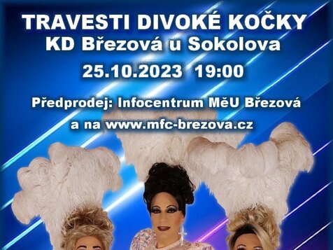 Travesti Show DIVOKÉ KOČKY