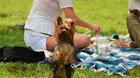 PIKNIK U VLTAVY