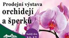 Prodejní výstava orchidejí a šperků