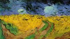 Vincent Van Gogh  z muzea Vincenta Van Gogha v Amsterdamu