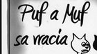 Puf a Muf