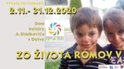 Zo života Rómov v Detve (od 2.11. do 31.12. 2020)