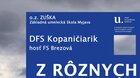 Z RÔZNYCH STRÁN 