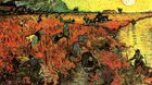 Vincent van Gogh – Nový způsob vidění