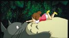 Můj soused Totoro