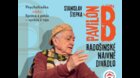 Radošinské naivné divadlo - PAVILÓN B 