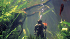 UNDINE | kinaspolu online