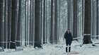Moc, prírodné kino