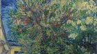 Van Gogh - o obilných polích a oblačném nebi