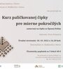 KURZ PALIČKOVANEJ ČIPKY