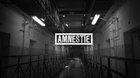 Amnestie