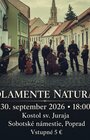 Solamente naturali 