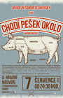 DS- Čelakovský - Chodí Pešek okolo