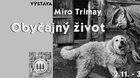 Miro Trimay – Obyčajný život (od 2.11. do 31.12. 2020)