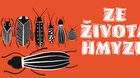 ZE ŽIVOTA HMYZU