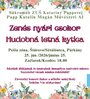  Hudobná letná kytica