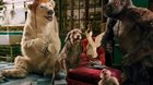 Dolittle