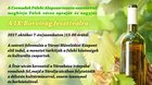  IX. ročník festivalu „Borvirág“