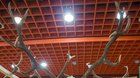 Výstava poľovníckych trofejí za rok 2017