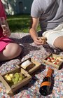 Piknik v parku (piknikový box)