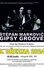 Štěpán Markovič + Gipsy Groove