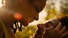American Honey