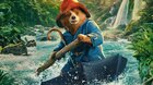 Paddington v džungli