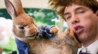 Králíček Petr bere do zaječích