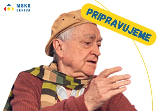 Pavilón B - Radošinské naivné divadlo 