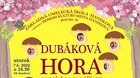 Dubáková hora