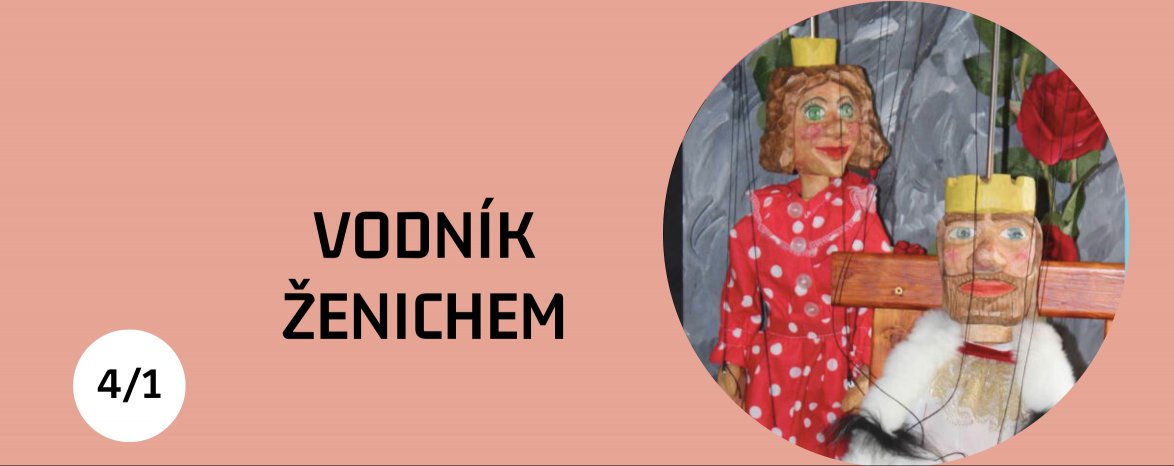VODNÍK ŽENICHEM