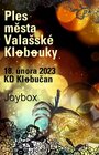 Ples města Valašské Klobouky