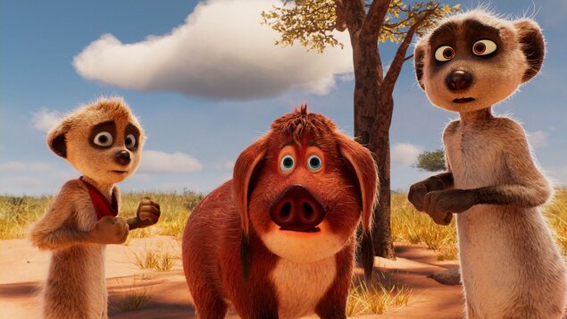 TAFITI A KAMOŠI Z PÚŠTE