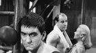 Boxer a smrť  (Festival Slovenských Filmov N.0) - Letné kino
