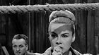 Boxer a smrť  (Festival Slovenských Filmov N.0) - Letné kino