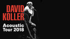 David Koller ~ Acoustic Tour 2018