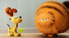 Film: Garfield ve filmu