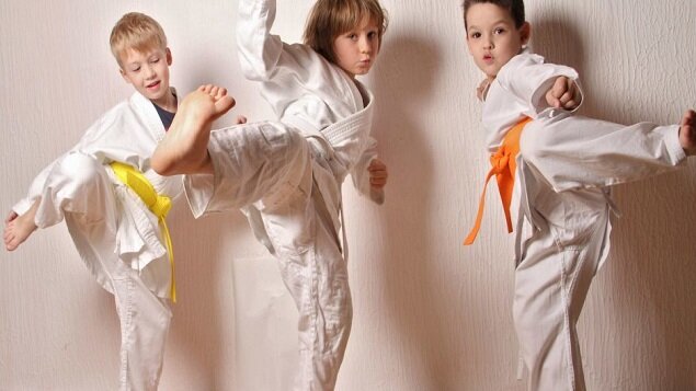 2022/2023 Taekwondo děti od 10 let pátek 17.00-18.00 I. pololetí (Lubomír Pliska)