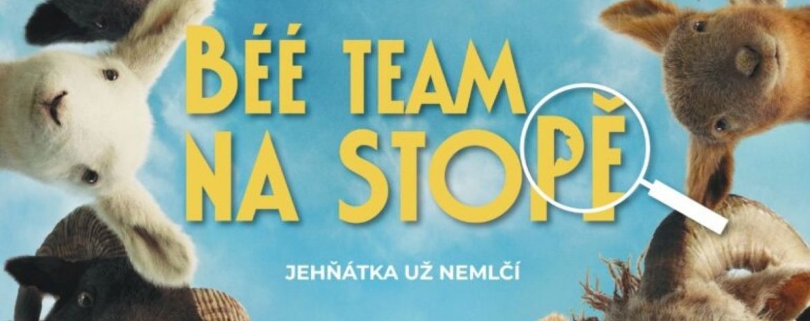 Béé team na stopě