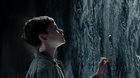 Pan