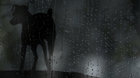 PSÍ SRDCE | kinaspolu online