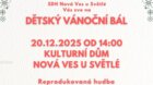 Dětský vánoční bál