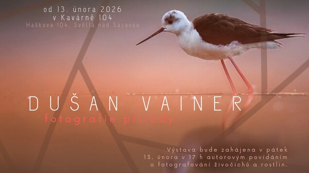 VÝSTAVA - DUŠAN VAINER