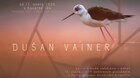VÝSTAVA FOTOGRAFIÍ DUŠAN VAINER