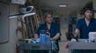 Dni iberoamerického filmu: PLANTA PERMANENTE