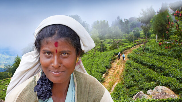 Martin Loew: Srí Lanka | CESTOVATELSKÁ DIASHOW