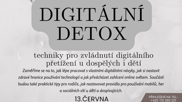 Digitální detox