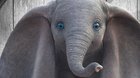 Dumbo