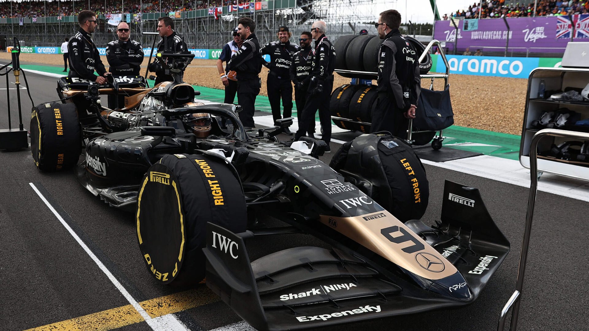 F1 