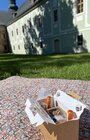 Piknik v parku (piknikový box)